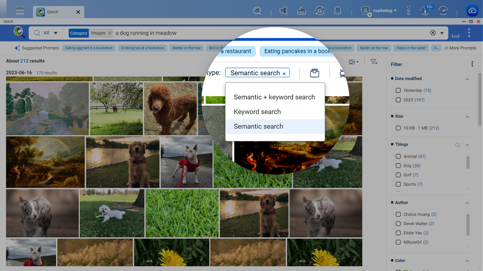 Semantic Image Search
