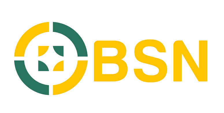 Business Systems & Networks