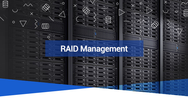 RAID Management