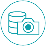Online Snapshot Recovery