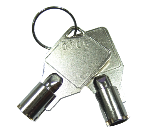Hard disk tray key x 2