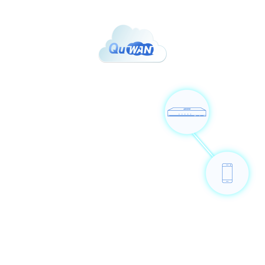 QVPN 存取權限